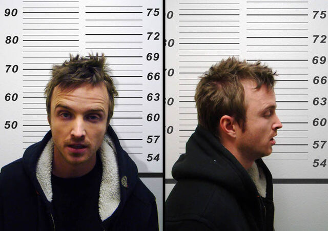 File:Jesse-Mugshot-760.jpg