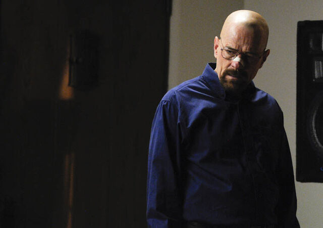 File:Episode-1-walt.jpg