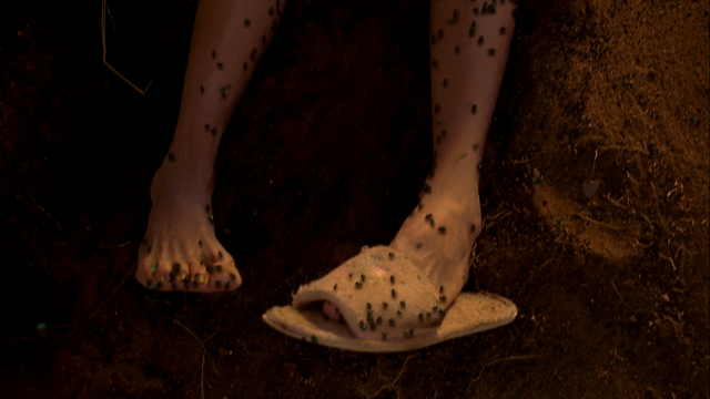 File:3x6 Mrs. Peyketewa.png