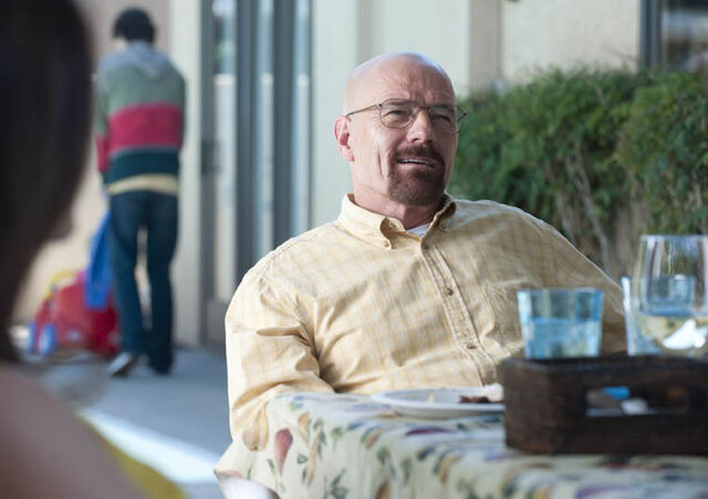 File:LJ-episode-8-walt-2-203948-1349857-12346.jpg
