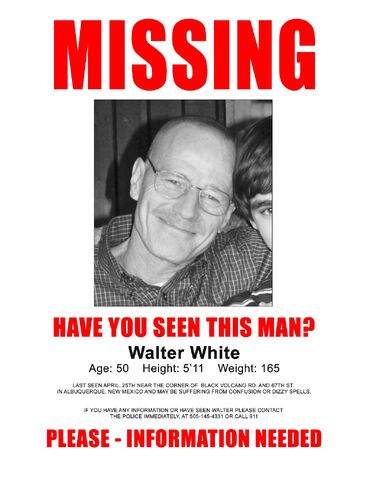 File:Walt Missing Poster.jpg