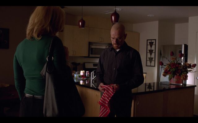 File:Walt's second Apartment -6.jpg