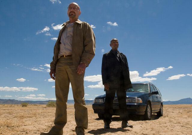 File:Ep11-walt-gus.jpg