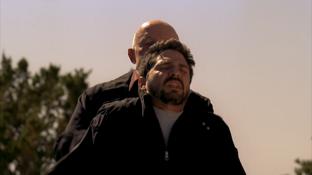 File:4x10 Gaff dead.png