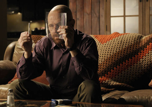 File:Episode-2-walt-2.jpg