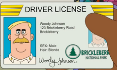 Johnson dmv