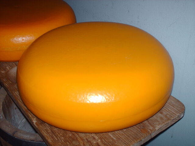 File:LinH-CheeseWheel.jpg