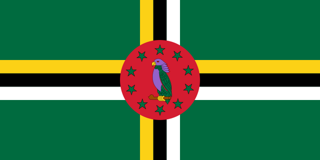 File:Dma.png