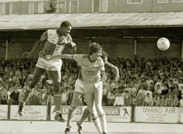 File:Devon white.jpg