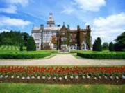 Manor