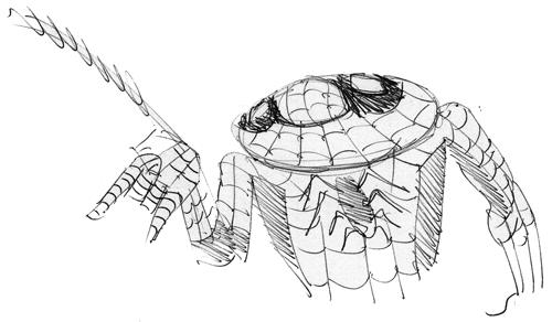 Spider-Hatch