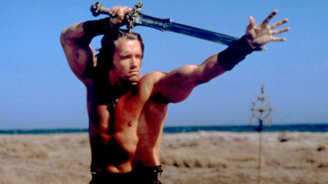 File:Conan-the-barbarian-1982.jpg