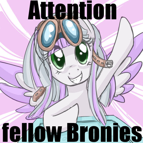 File:Happyface attention fellow bronies.jpg