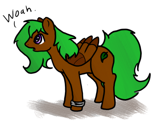 File:129738835095-1293420203 quilpony .png