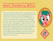 Blitzybiomeet