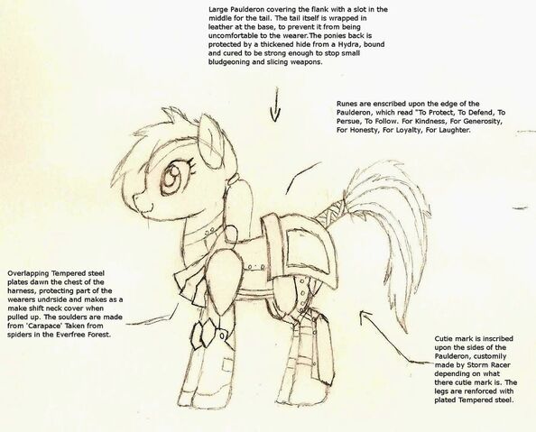 File:Storm racer s combat harness by thecollorblue-d3ir45t.jpg