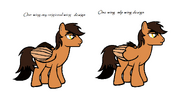 One wing-brony templet-
