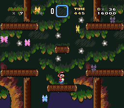 File:Lost Forest 2.png