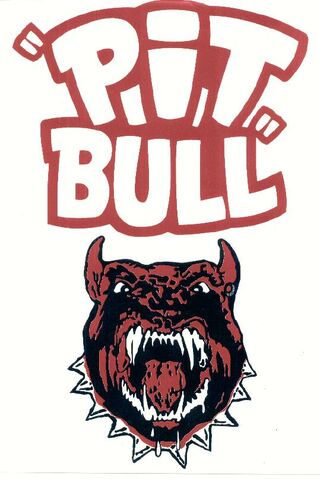 File:Pitbull.jpg