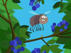 Greedy fly doent wastwe