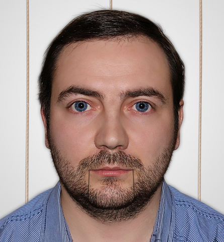 Файл:Doronin.png