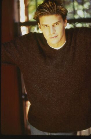 File:Angel-season-2-buffy-the-vampire-slayer-3000000-1676-2560-1-.jpg