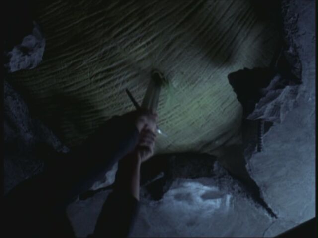 File:Sense0083.jpg