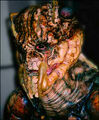 Thumbnail for version as of 20:00, February 28, 2011