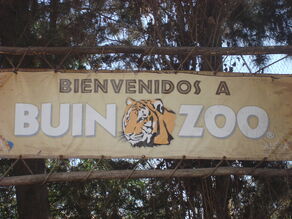 Buin zoo vicente 061