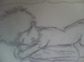 Thumbnail for version as of 08:59, May 30, 2011
