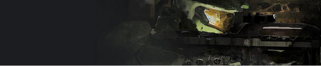 Master chief banner