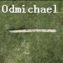 Moderator odmichael