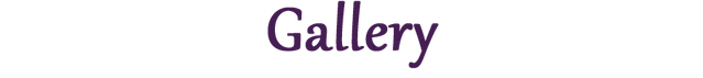 File:Gallery.png