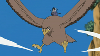 Takachitose