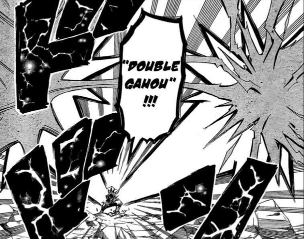 File:DoubleGahou.png