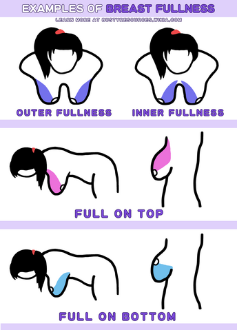 File:Fullness-front-view.png