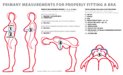 A bra that fits 5 measurements for bra size