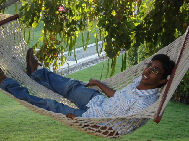 File:DSC01380.jpg
