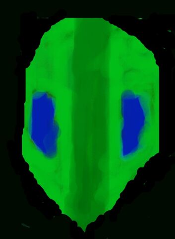 File:Mask of insect control.jpg