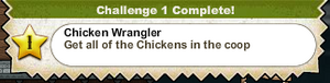 Chicken Wrangler