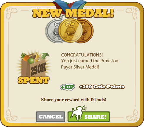 Provision Payer Silver Medal