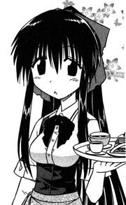 Shizuka 2