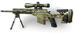 MSR CaC MW3