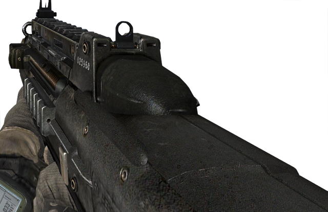 File:F2000 MW2.png
