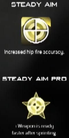File:Steady Aim MW3 CreateAClass.png