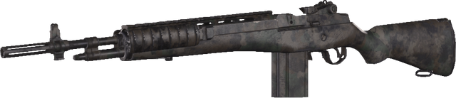 File:M14 Faded MWR.png