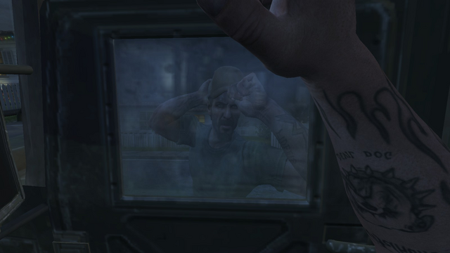 File:Woods reflection BOII.png