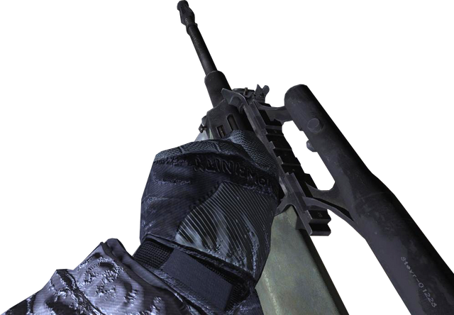File:AUG HBAR Campaign Cocking MW2.png