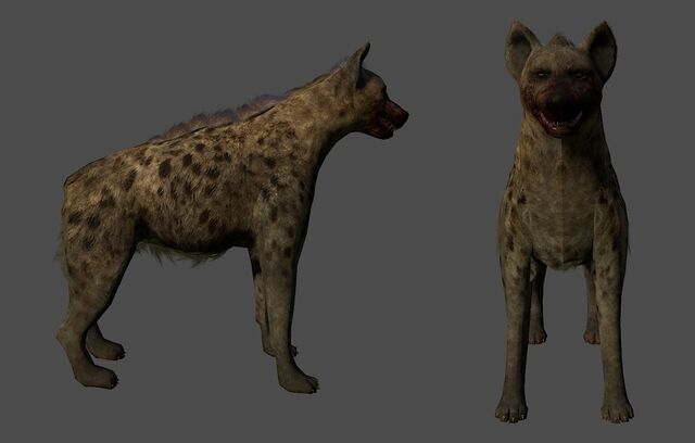 File:Hyenay.jpg