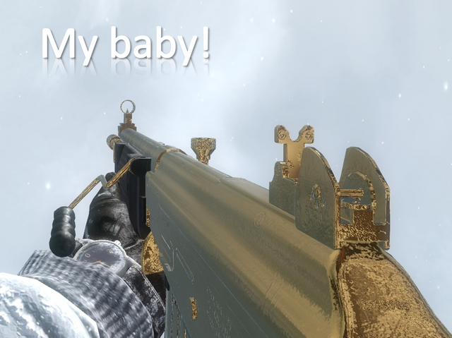 File:My baby galil.png